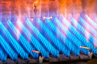 Bocaddon gas fired boilers